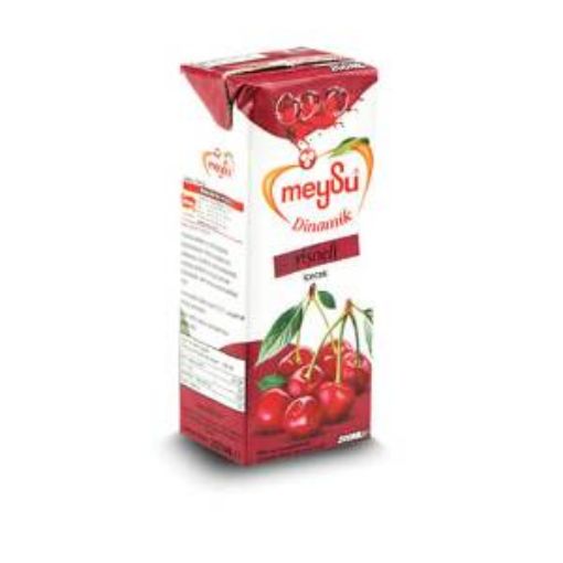 MEYSU DİNAMİC 200 ML VİŞNELİ İÇECEK. ürün görseli