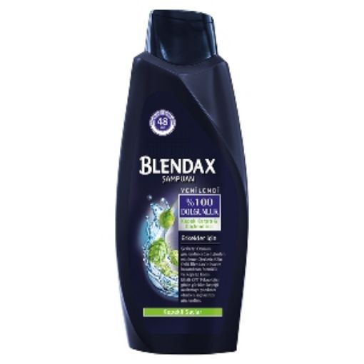 BLENDAX ŞAMP.500 ML KEPEĞE KARŞI ERKEK. ürün görseli