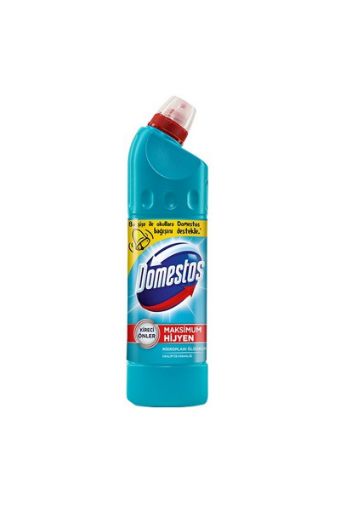 DOMESTOS 750 ML OKALİPTÜS. ürün görseli