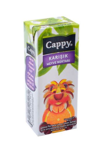 CAPPY 200 ML KARIŞIK NEKTAR. ürün görseli