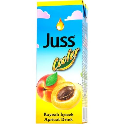 JUSS COOLER 200 ML KAYISI MEY. İÇECEK.. ürün görseli