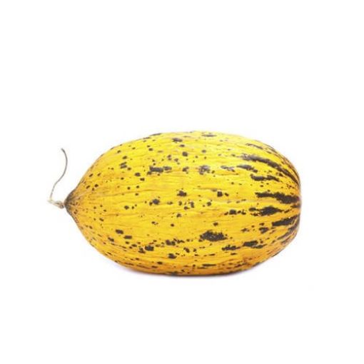 KAVUN TOPATAN KG. ürün görseli