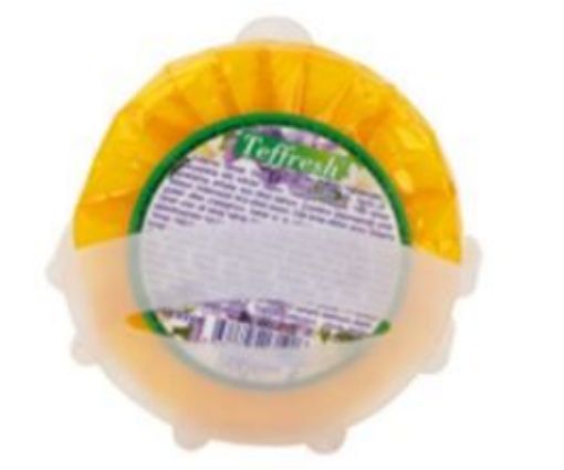 TEFFRESH KOKU GİDERİCİ ASKILI. ürün görseli