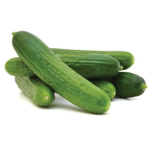 SALATALIK TARLA KG. ürün görseli