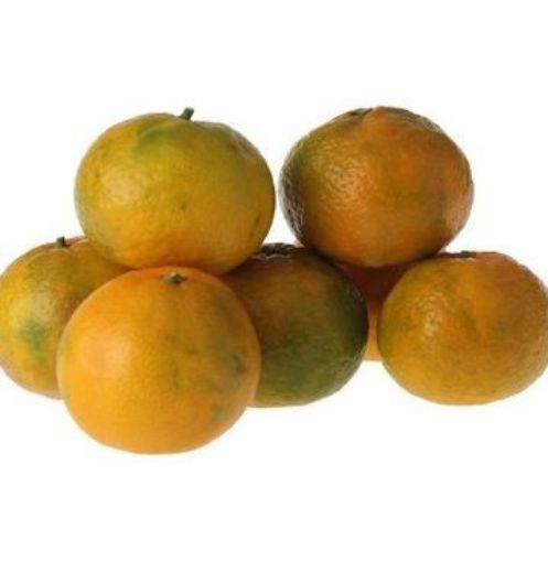 MANDALİNA EKO KG. ürün görseli